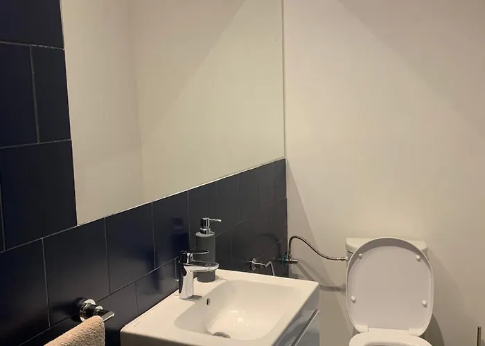 Vintage In Private House Gazde/Camere de închiriat Bucureşti